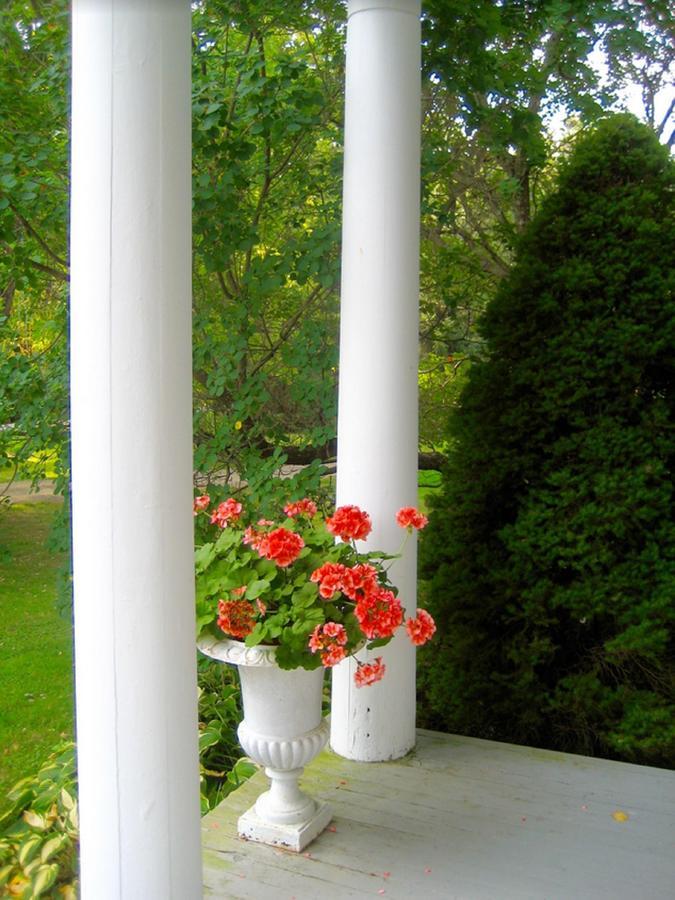 Millbrook Country House מראה חיצוני תמונה