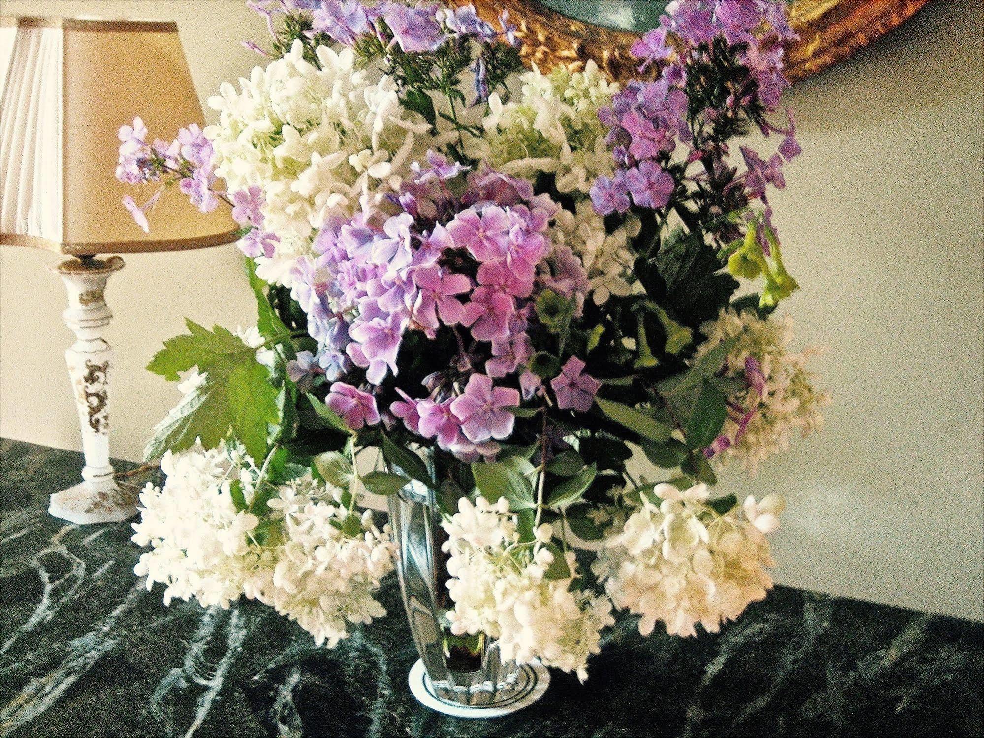 Millbrook Country House מראה חיצוני תמונה